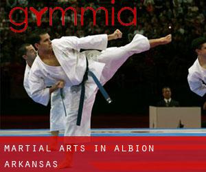 Martial Arts in Albion (Arkansas)