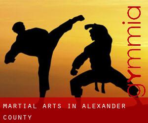 Martial Arts in Alexander County