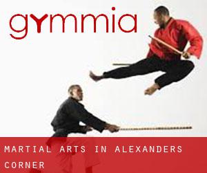 Martial Arts in Alexanders Corner