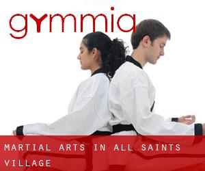 Martial Arts in All Saints Village
