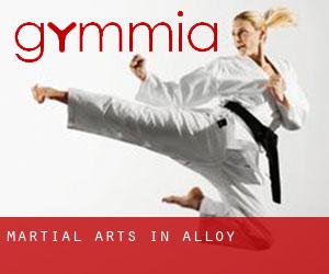 Martial Arts in Alloy