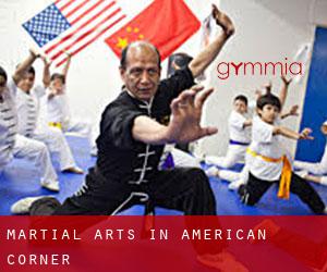 Martial Arts in American Corner