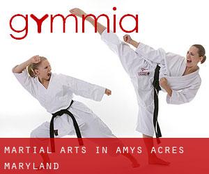Martial Arts in Amys Acres (Maryland)