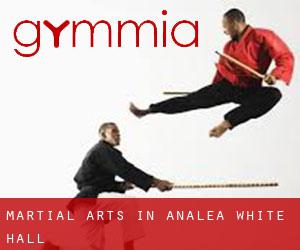 Martial Arts in Analea White Hall