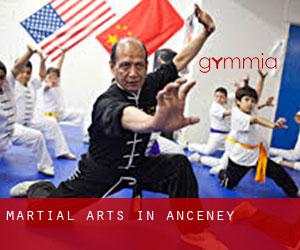 Martial Arts in Anceney