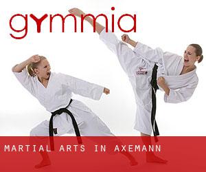 Martial Arts in Axemann