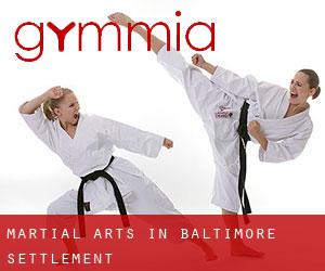Martial Arts in Baltimore Settlement