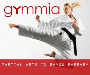 Martial Arts in Bayou Barbary