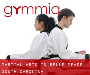 Martial Arts in Belle Meade (South Carolina)