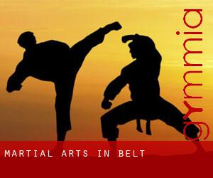 Martial Arts in Belt