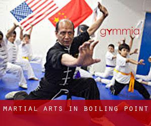 Martial Arts in Boiling Point