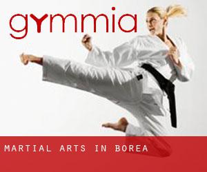 Martial Arts in Borea