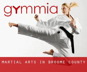 Martial Arts in Broome County