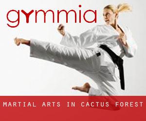 Martial Arts in Cactus Forest