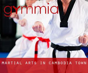Martial Arts in Cambodia Town