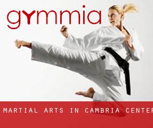 Martial Arts in Cambria Center