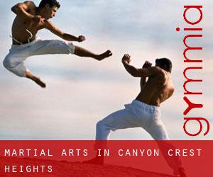Martial Arts in Canyon Crest Heights