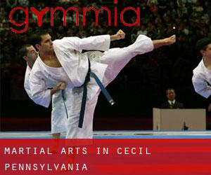 Martial Arts in Cecil (Pennsylvania)