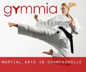 Martial Arts in Champagnolle