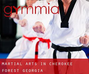 Martial Arts in Cherokee Forest (Georgia)