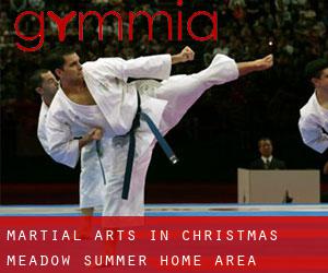 Martial Arts in Christmas Meadow Summer Home Area