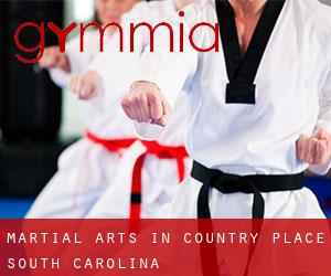 Martial Arts in Country Place (South Carolina)