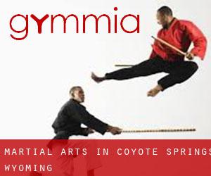 Martial Arts in Coyote Springs (Wyoming)