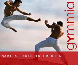 Martial Arts in Crekola