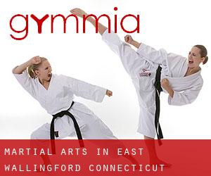 Martial Arts in East Wallingford (Connecticut)