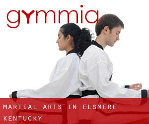 Martial Arts in Elsmere (Kentucky)