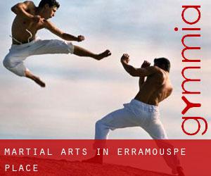 Martial Arts in Erramouspe Place