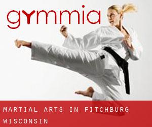 Martial Arts in Fitchburg (Wisconsin)
