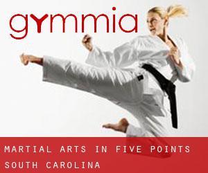 Martial Arts in Five Points (South Carolina)