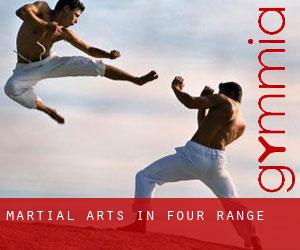 Martial Arts in Four Range