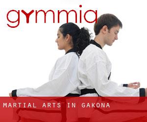 Martial Arts in Gakona