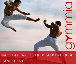 Martial Arts in Grasmere (New Hampshire)