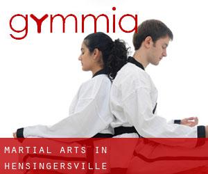 Martial Arts in Hensingersville