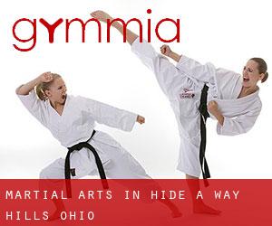 Martial Arts in Hide-A-Way Hills (Ohio)