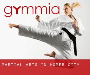 Martial Arts in Homer City