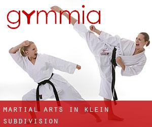 Martial Arts in Klein Subdivision