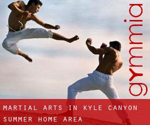 Martial Arts in Kyle Canyon Summer Home Area