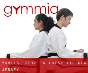 Martial Arts in Lafayette (New Jersey)