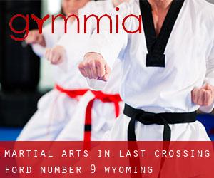 Martial Arts in Last Crossing Ford Number 9 (Wyoming)