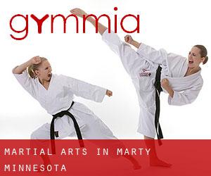 Martial Arts in Marty (Minnesota)
