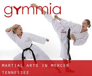Martial Arts in Mercer (Tennessee)
