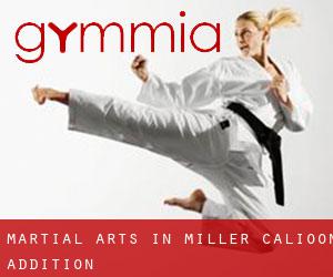 Martial Arts in Miller Calioon Addition