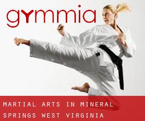 Martial Arts in Mineral Springs (West Virginia)