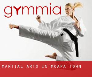 Martial Arts in Moapa Town