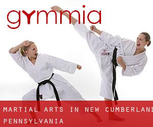 Martial Arts in New Cumberland (Pennsylvania)