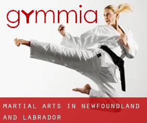 Martial Arts in Newfoundland and Labrador